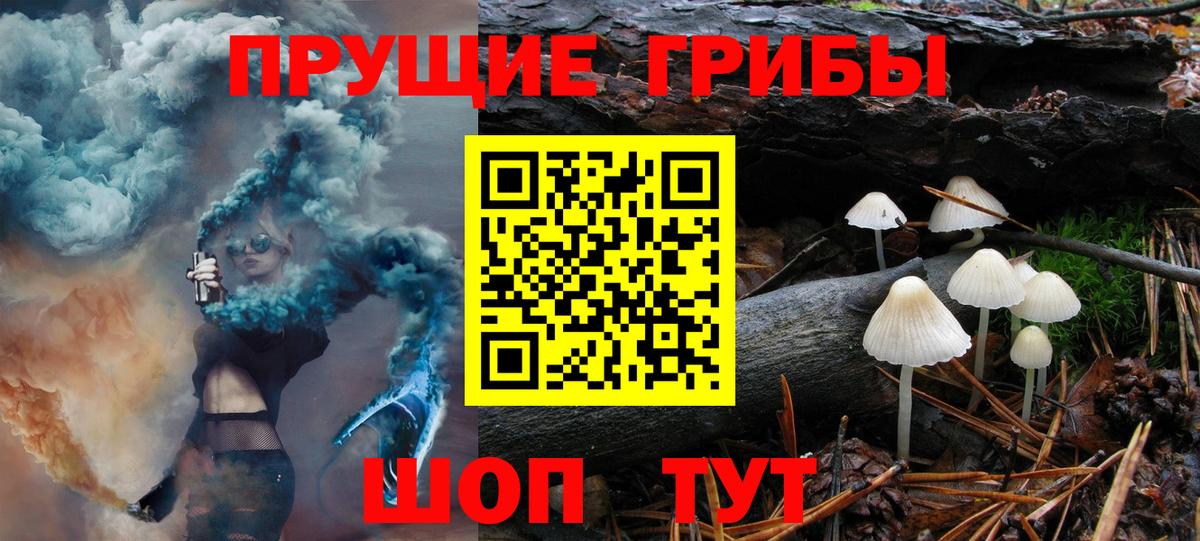 Бугуруслан  Псилоцибиновые грибы Psilocybine cubensis  Вход с VPN 